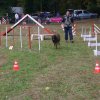foire-haricots 2011-09-17et18